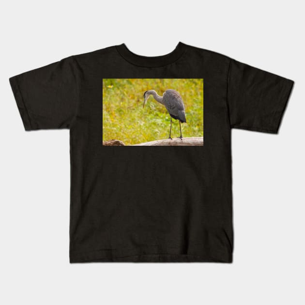 Big Bird Kids T-Shirt by EugeJ